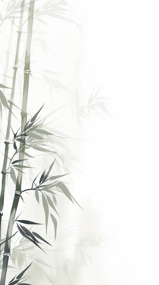 Bamboo backgrounds plant abstract.