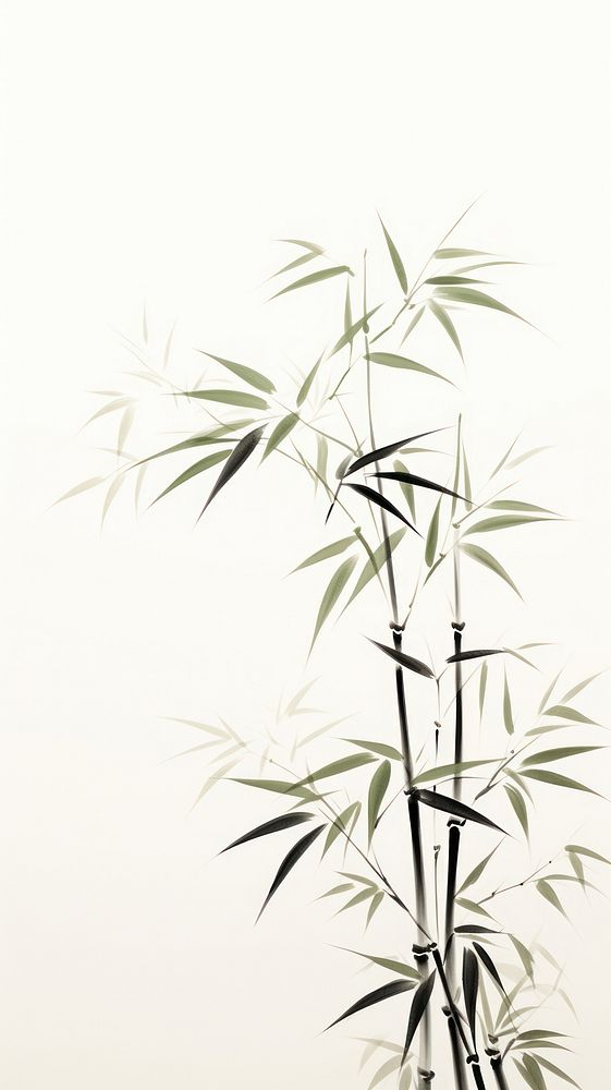 Bamboo backgrounds plant wall.