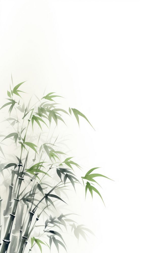Bamboo backgrounds plant cannabis.