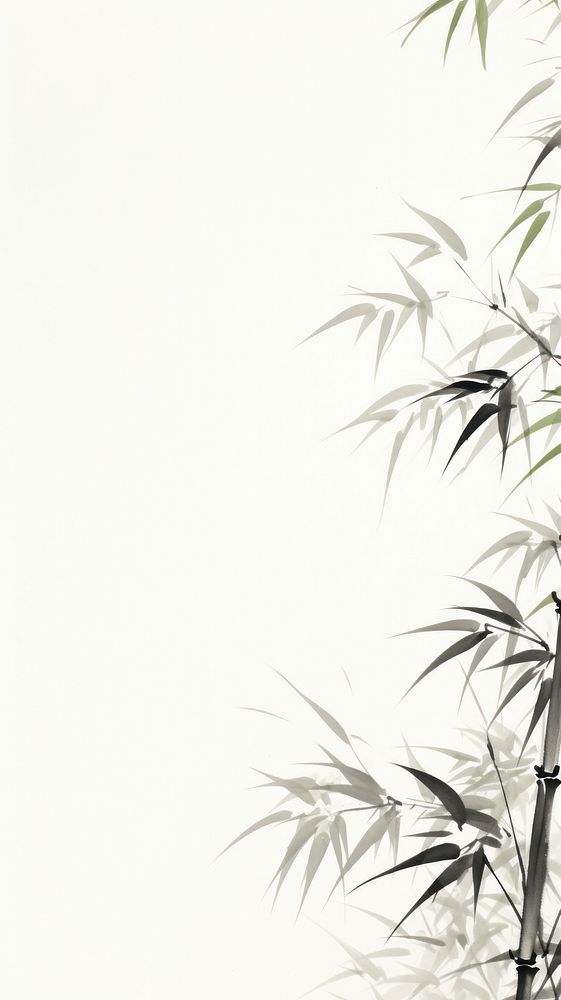 Bamboo backgrounds plant wall.