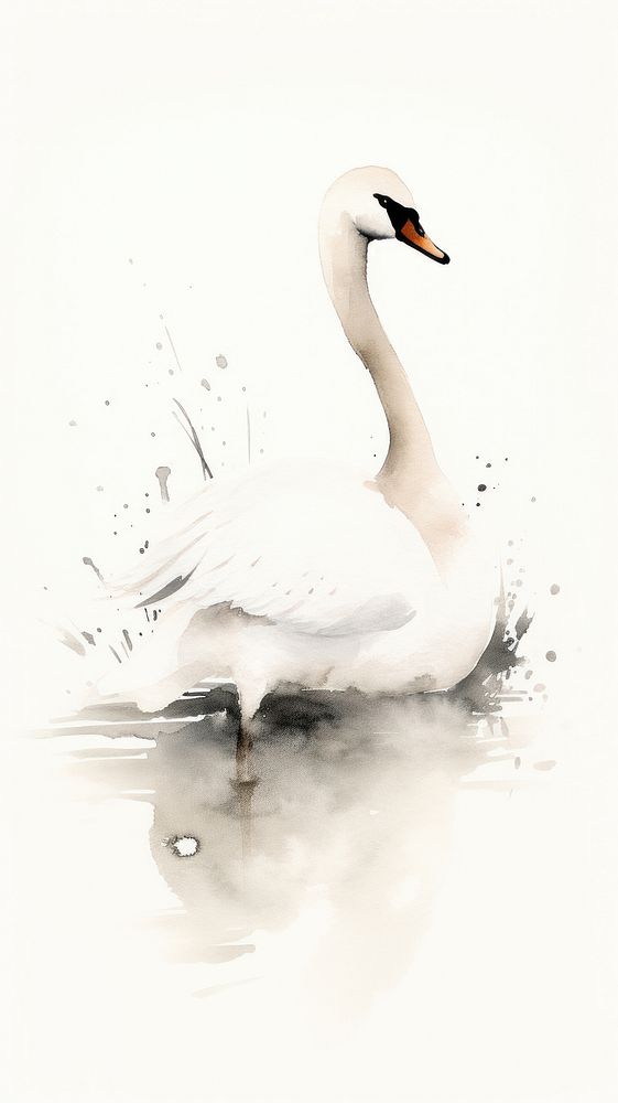 Swan painting animal white.