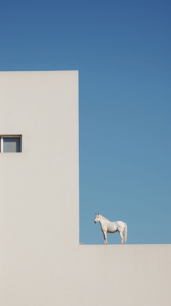  A white horse at the rooftop wall architecture building. AI generated Image by rawpixel.