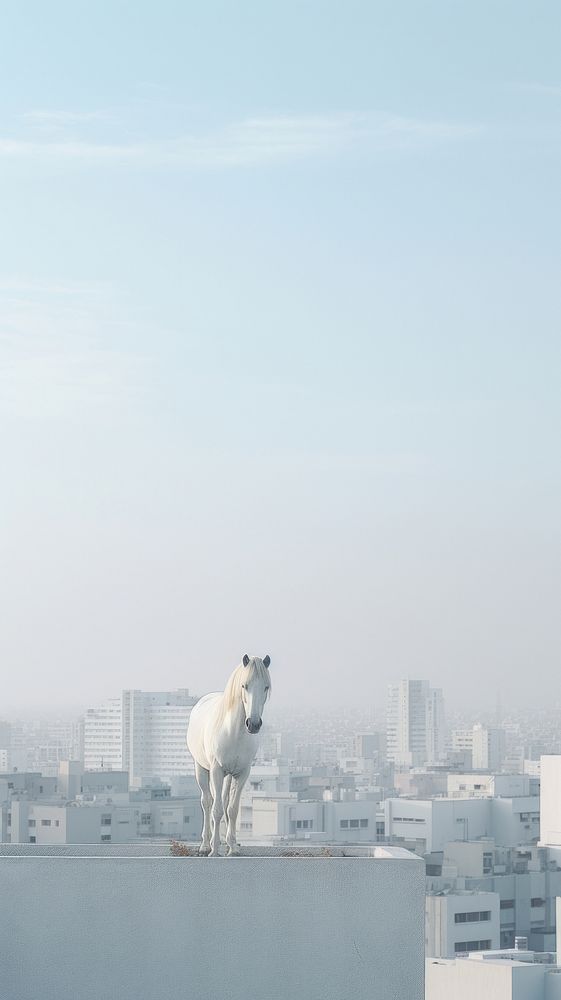  A white horse at the rooftop with city background architecture cityscape building. AI generated Image by rawpixel.