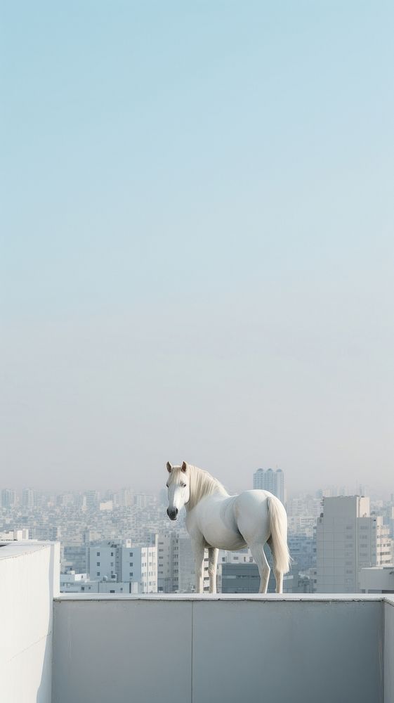  A white horse at the rooftop with city background architecture cityscape building. AI generated Image by rawpixel.