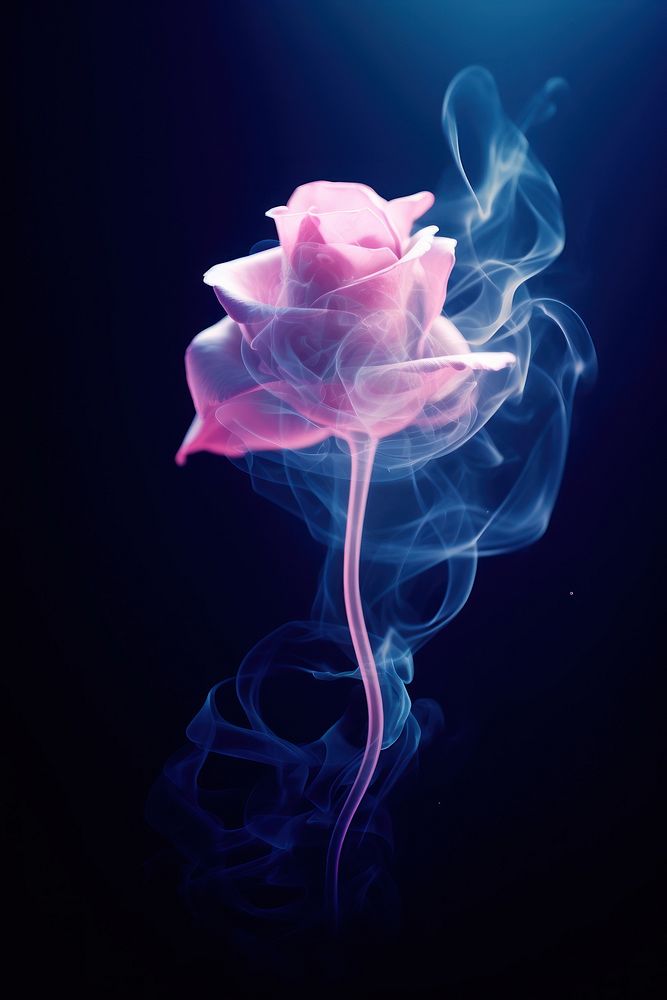 Neon light smoke rose inflorescence fragility freshness.