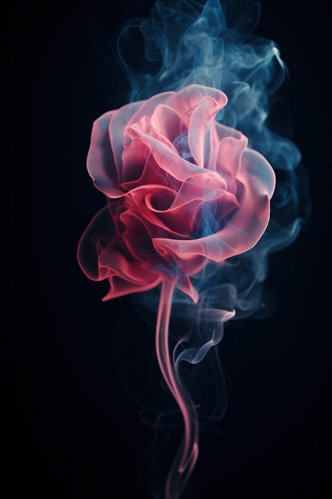 Neon smoke rose flower fragility ethereal.