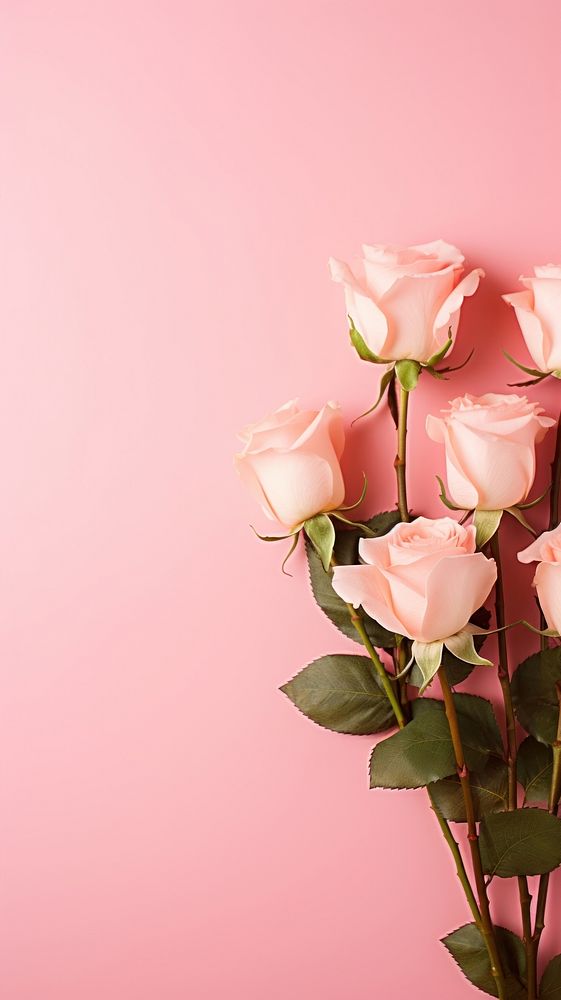  Roses flower petal plant. AI generated Image by rawpixel.