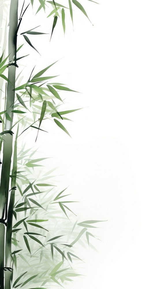 Bamboo forest backgrounds plant branch.