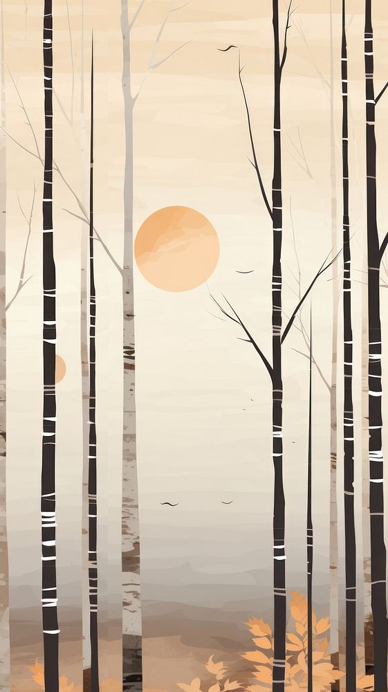 Minimal simple birch forest sunlight outdoors nature.