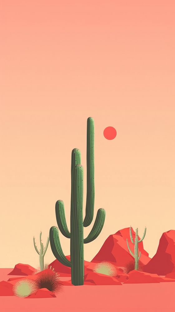 Cactus desert plant tranquility.