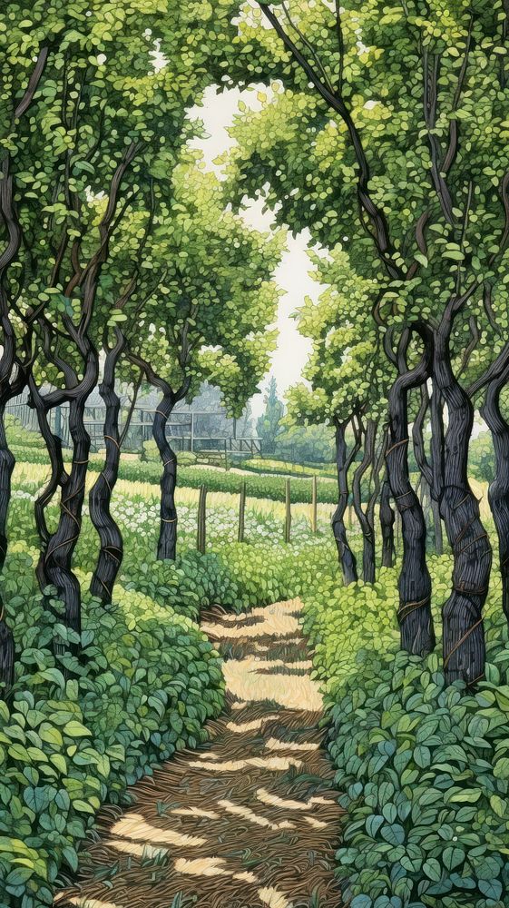 Illustration of a vine yard landscape outdoors woodland.