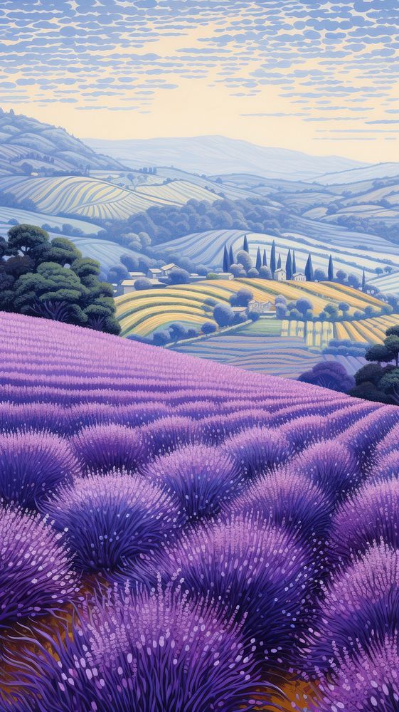 Illustration of a hilly lavender fileds landscape agriculture outdoors.