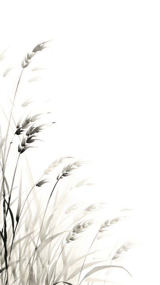 Plant grass white tranquility.