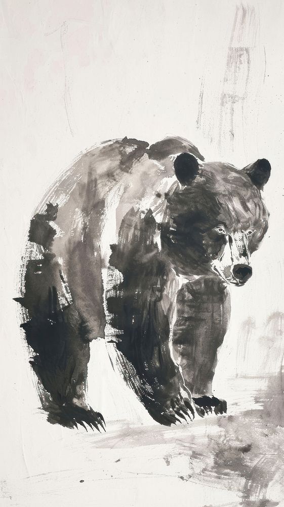 Bear wildlife painting drawing.