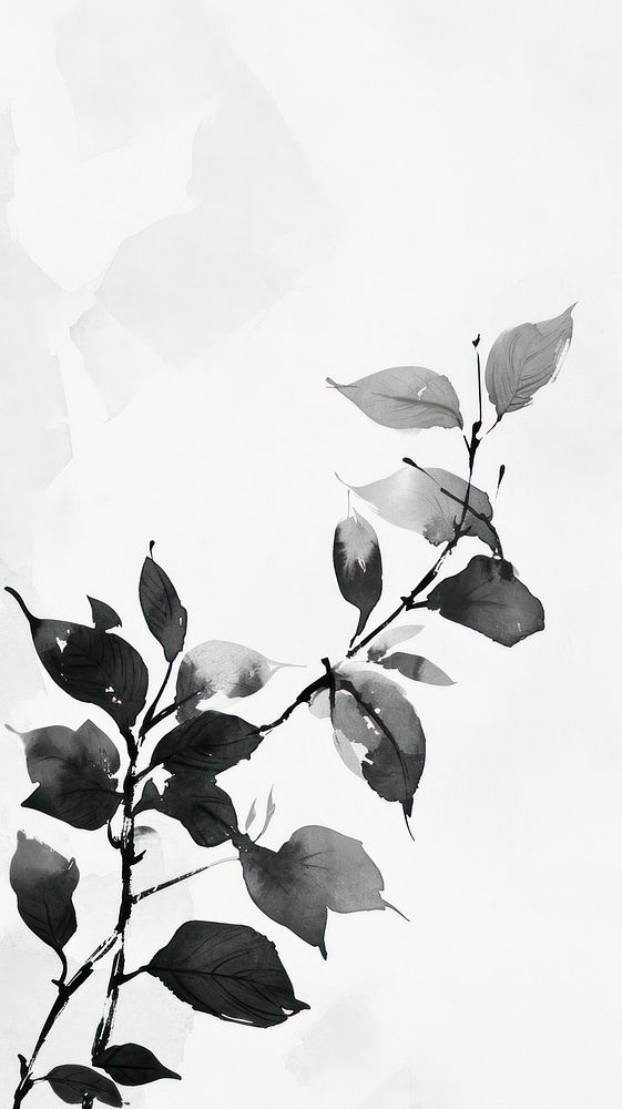 Leaf backgrounds plant white.