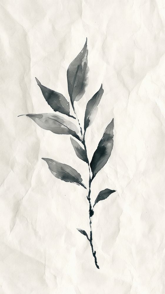 Paper leaf backgrounds drawing.