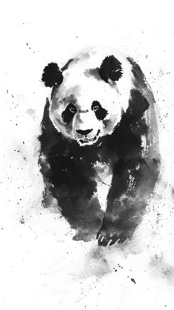 Animal mammal panda paint.