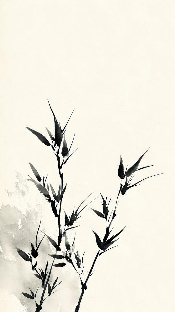 Plant drawing sketch white.