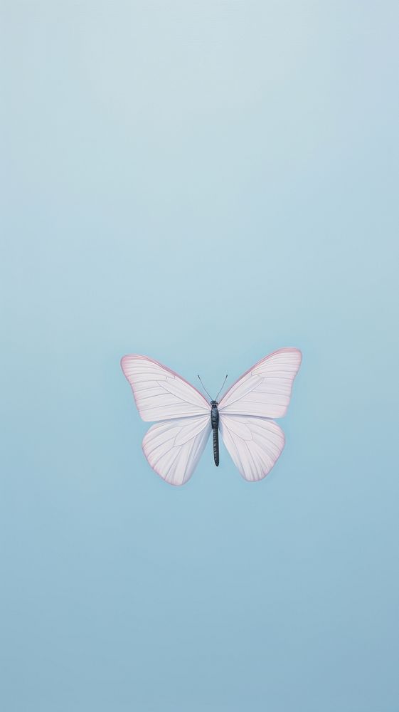 Minimal butterfly animal insect flying.