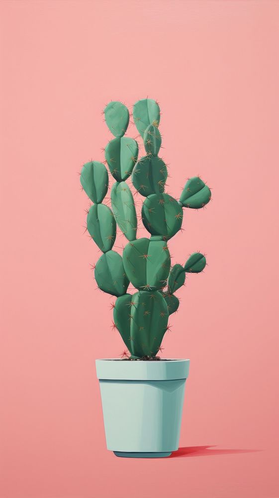 Minimal space cactus plant houseplant flowerpot.