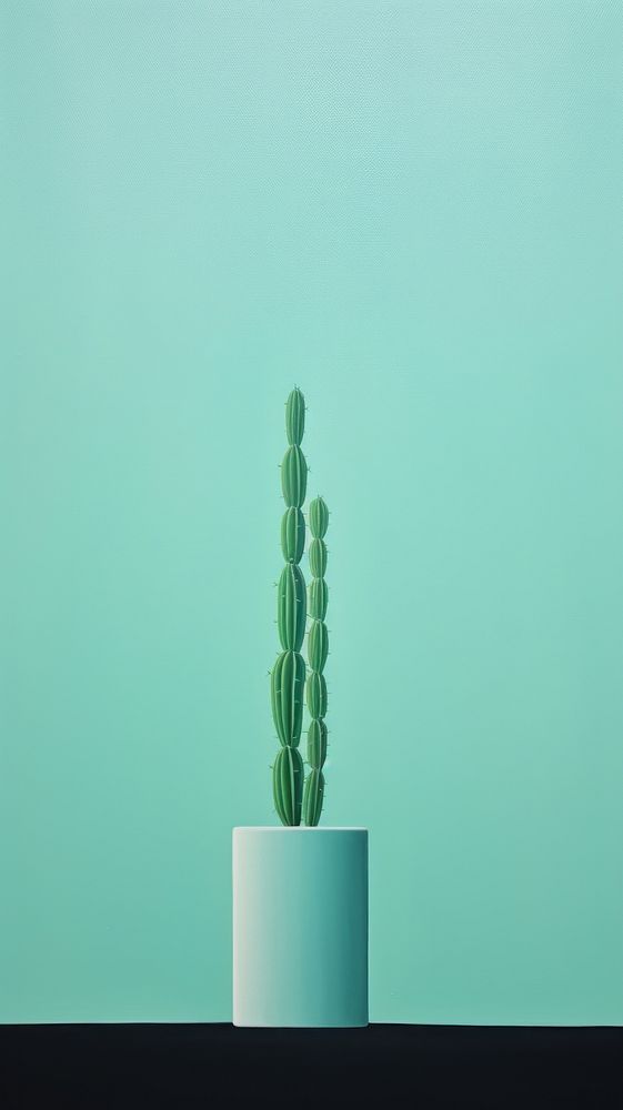 Minimal space cactus plant flowerpot nature.