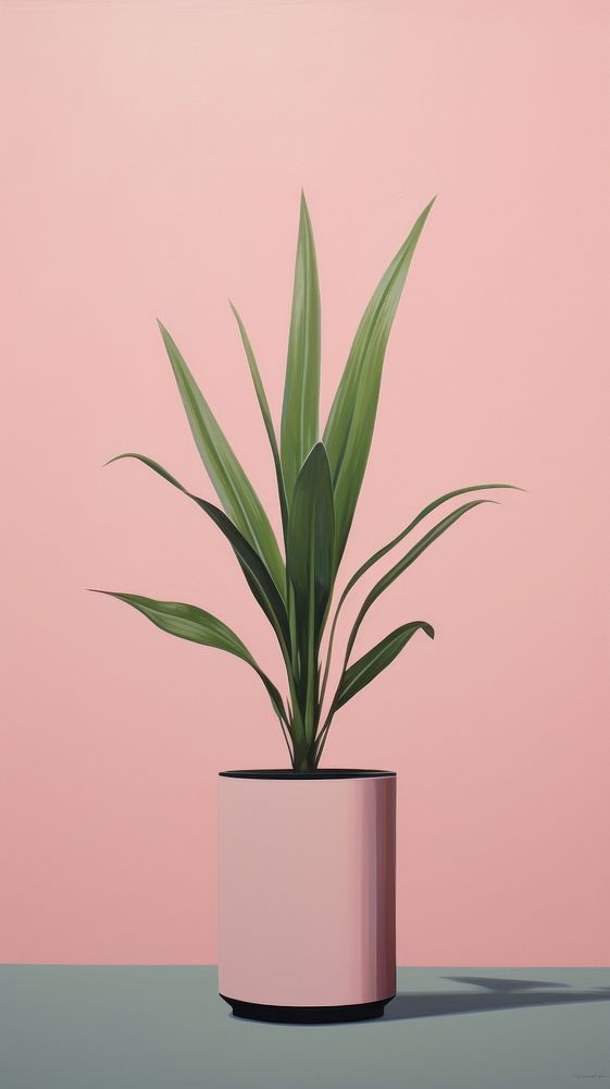 Minimal space plant flower vase houseplant.