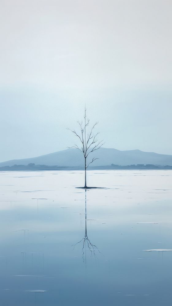Minimal space winter morning landscape outdoors nature.