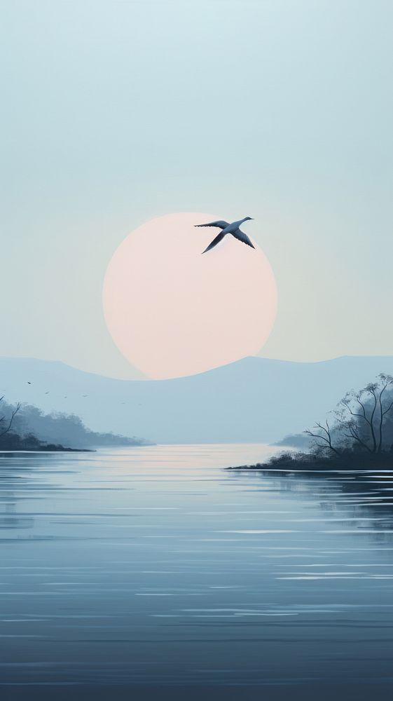 Minimal style bird flying pass river outdoors nature moon.