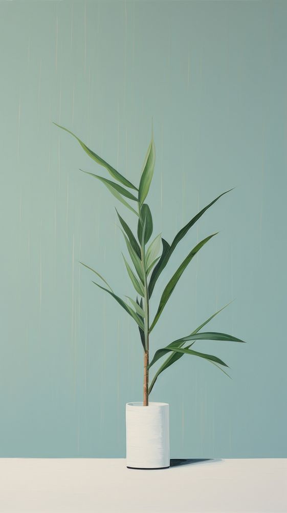 Minimal style plant leaf tree houseplant.