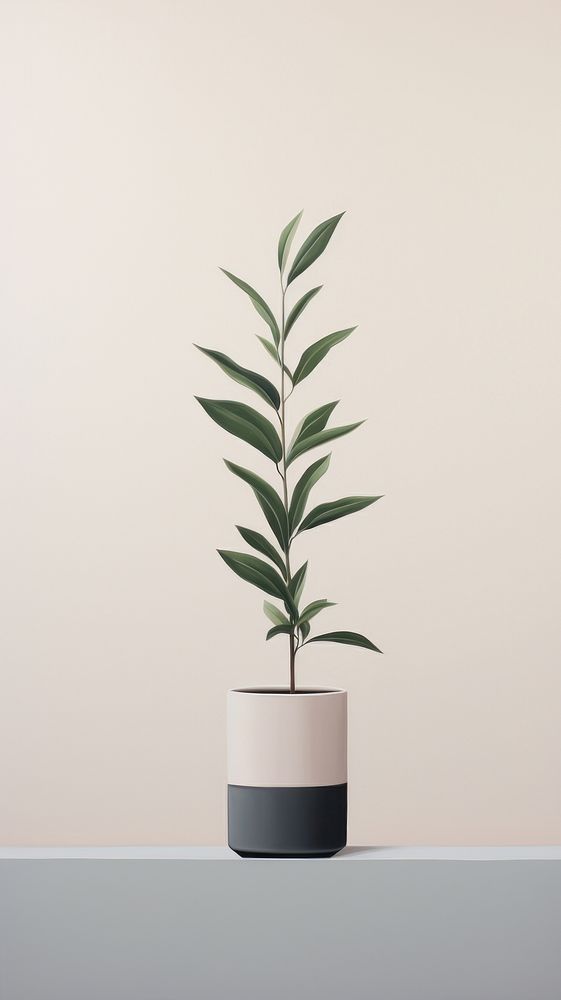 Minimal plant vase leaf houseplant.