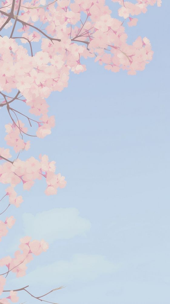 Aesthetic Cherry blossom landscape wallpaper outdoors nature flower.