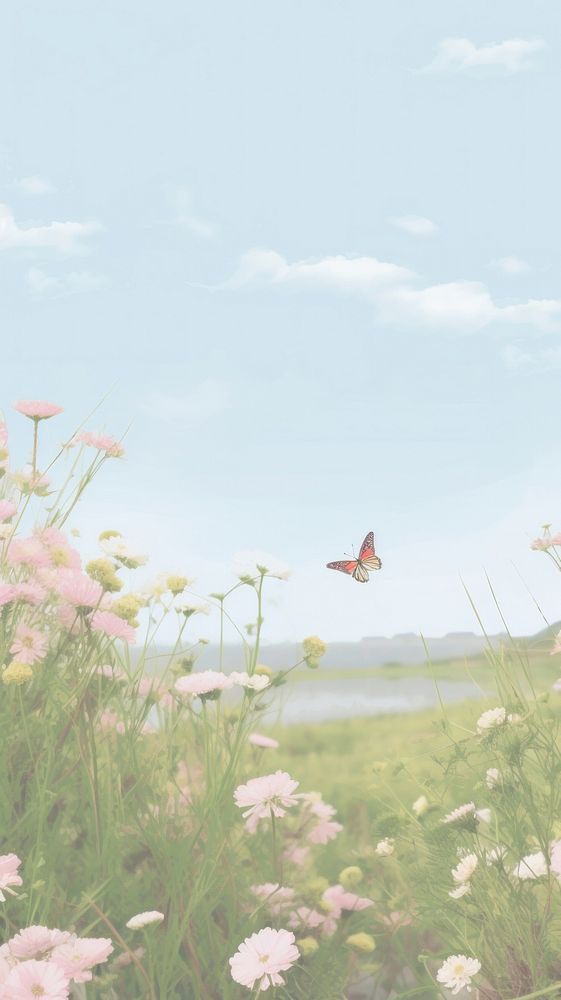 Aesthetic butterfies and flower landscape wallpaper grassland butterfly outdoors.