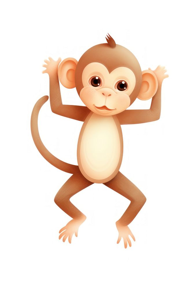 A monkey animal cute white background.