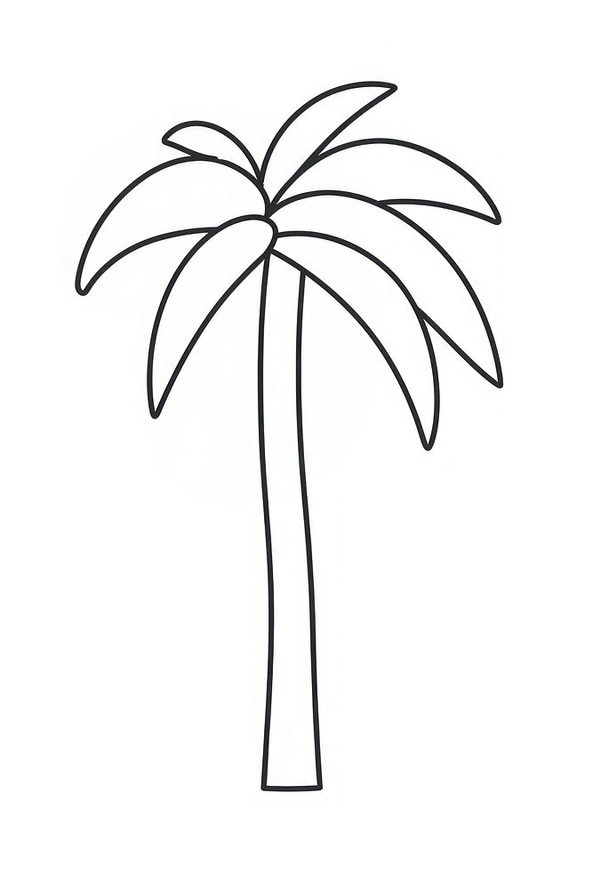 Minimal illustration of palm tree drawing sketch plant.