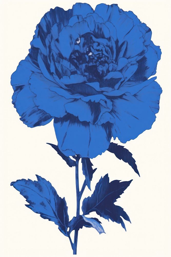 Illustration of a blue flower plant inflorescence creativity.