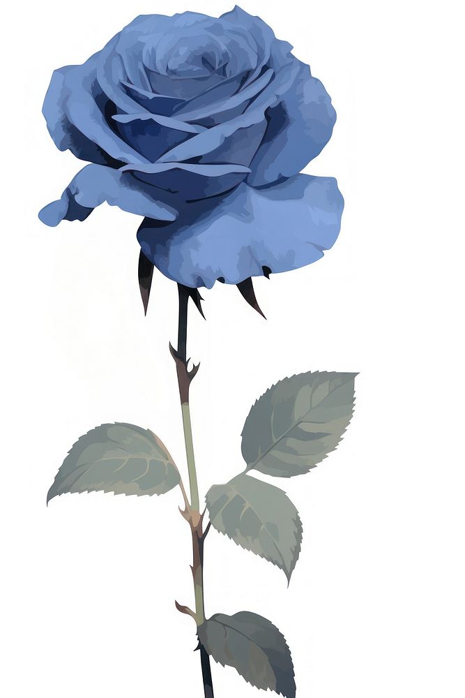 Illustration of a rose blue outdoors flower nature.