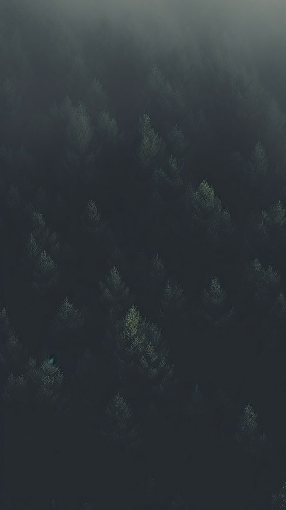  Forest land outdoors nature. AI generated Image by rawpixel.