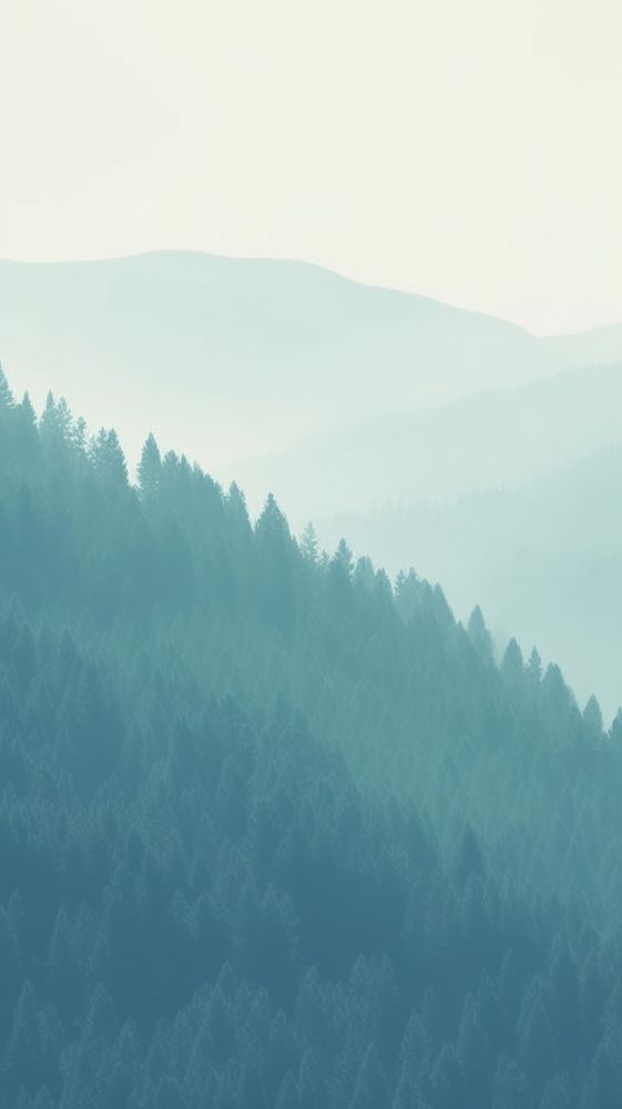  Forest land landscape outdoors. AI generated Image by rawpixel.