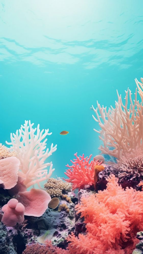  Coral reef underwater outdoors nature ocean. AI generated Image by rawpixel.