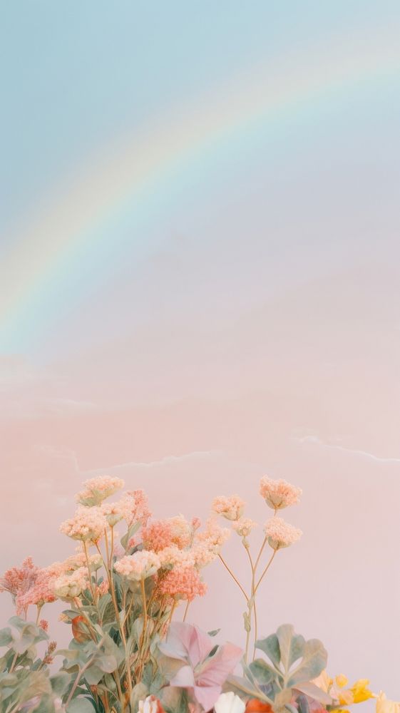  Rainbow Nature nature outdoors flower. AI generated Image by rawpixel.