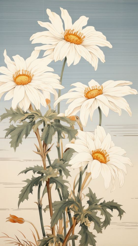 Traditional japanese wood block print illustration of daisy flower painting plant.