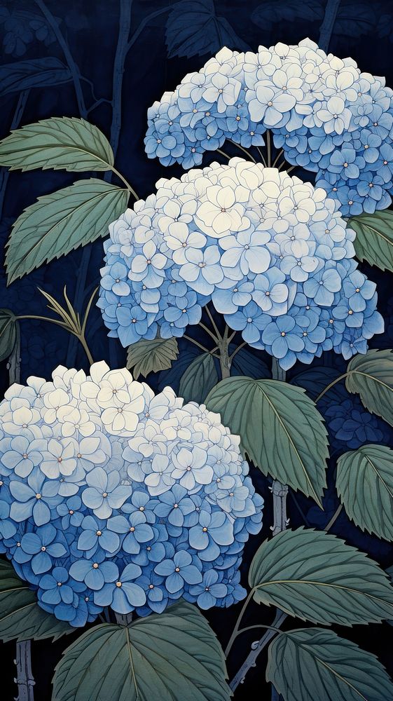 Traditional japanese wood block print illustration of hydrangea in starry night flower outdoors nature.
