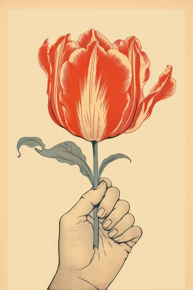 An isolated hand hold tulip flower art drawing. AI generated Image by rawpixel.