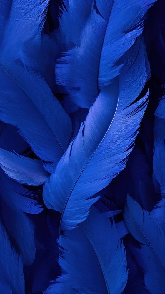  Abstract blue feathers background backgrounds lightweight fragility. AI generated Image by rawpixel.