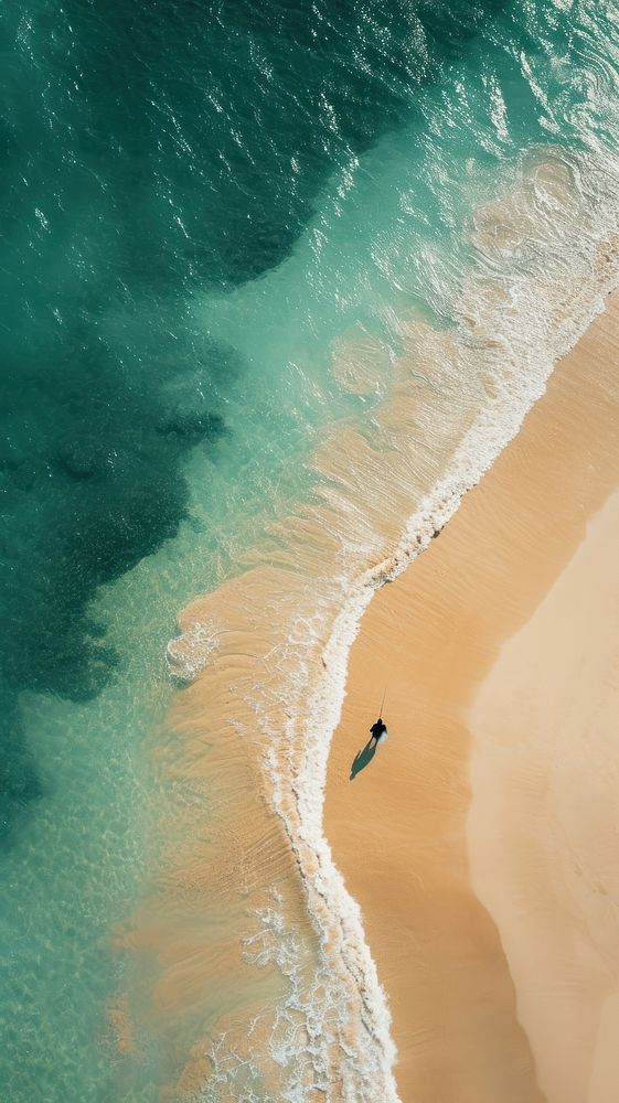 Aerial top down view of fisherman on beach after fishing outdoors nature ocean.