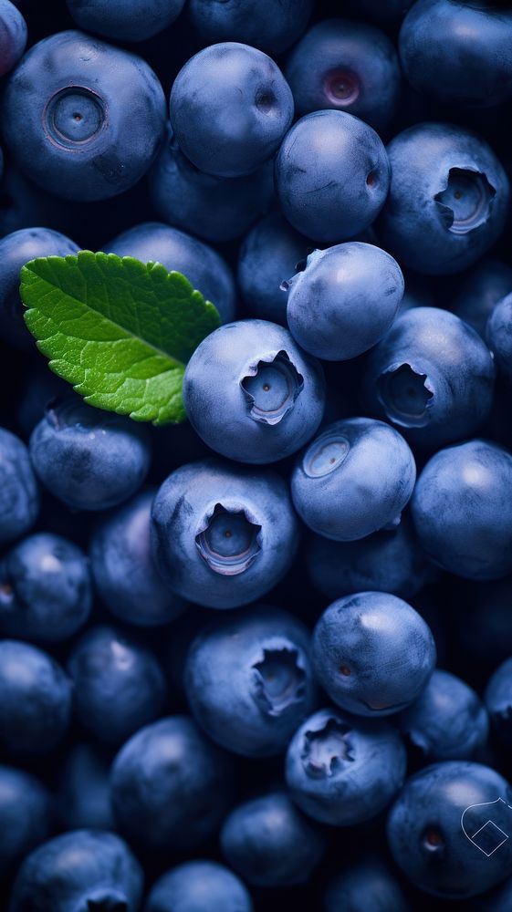  Blue blueberries blueberry fruit plant. 