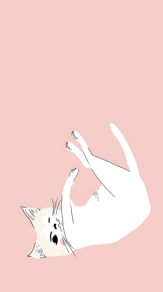 Cute cat illustration cartoon drawing animal.