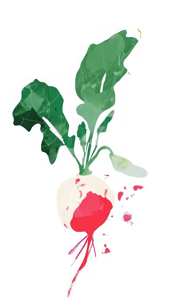 Cute radish illustration vegetable plant splattered.