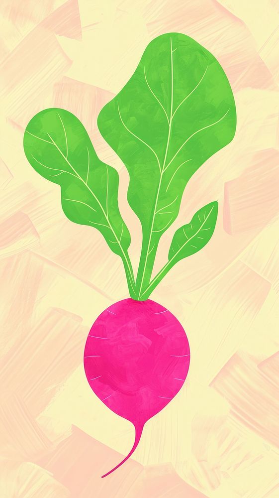Cute radish illustration vegetable plant food.