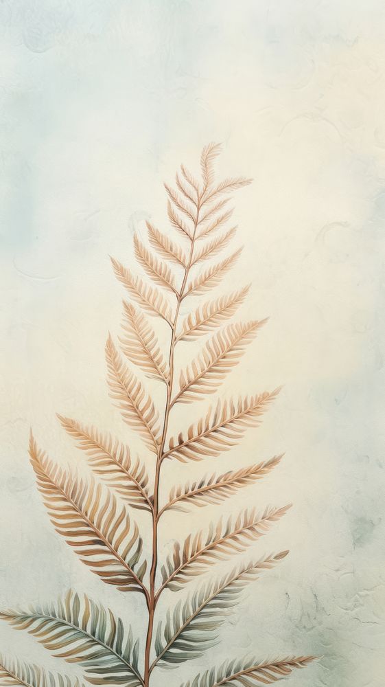 Wallpaper fern drawing sketch backgrounds.